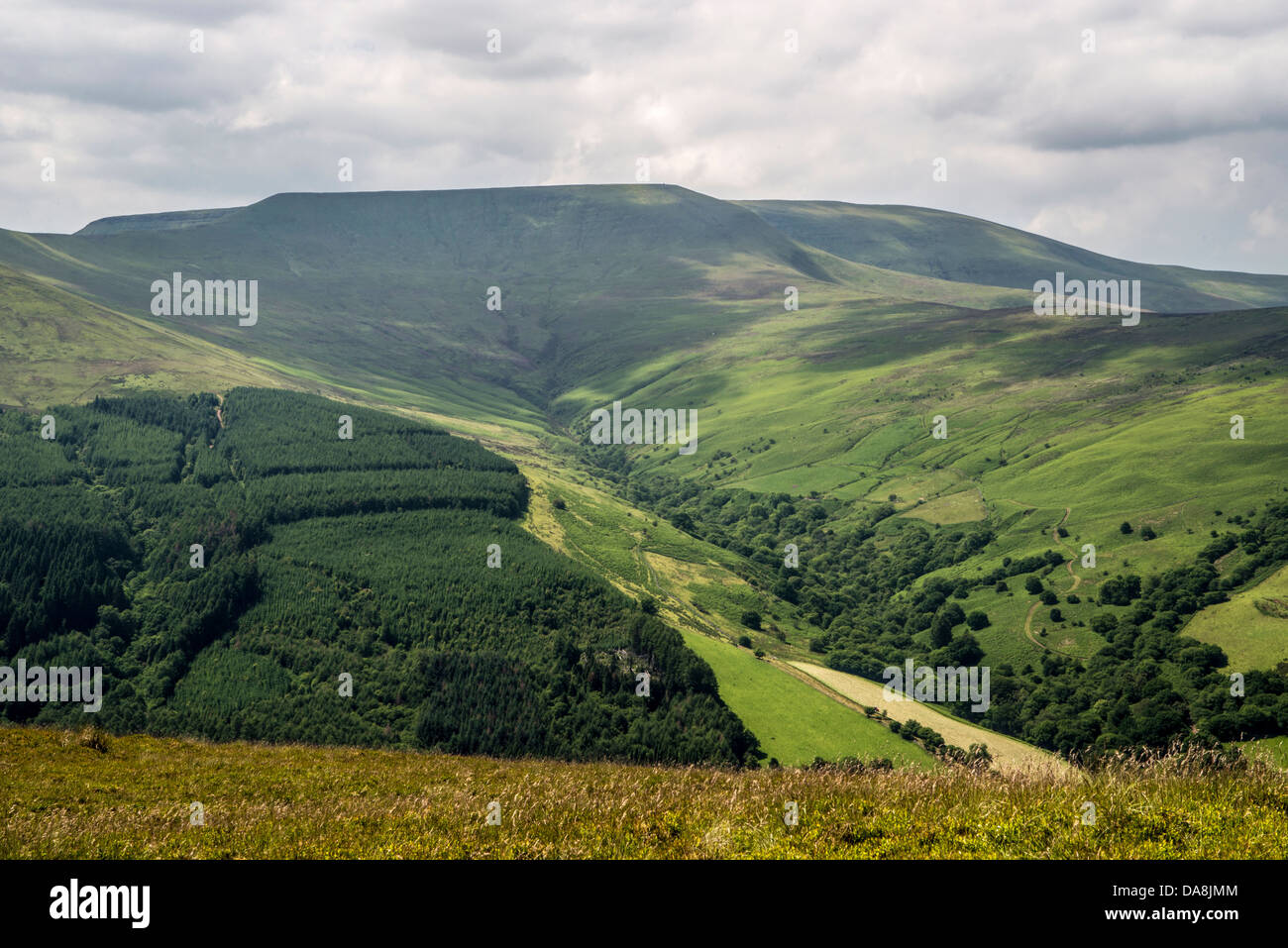 Waun Rydd Brecon Beacons National Park on a bright summer day South Wales UK Stock Photo
