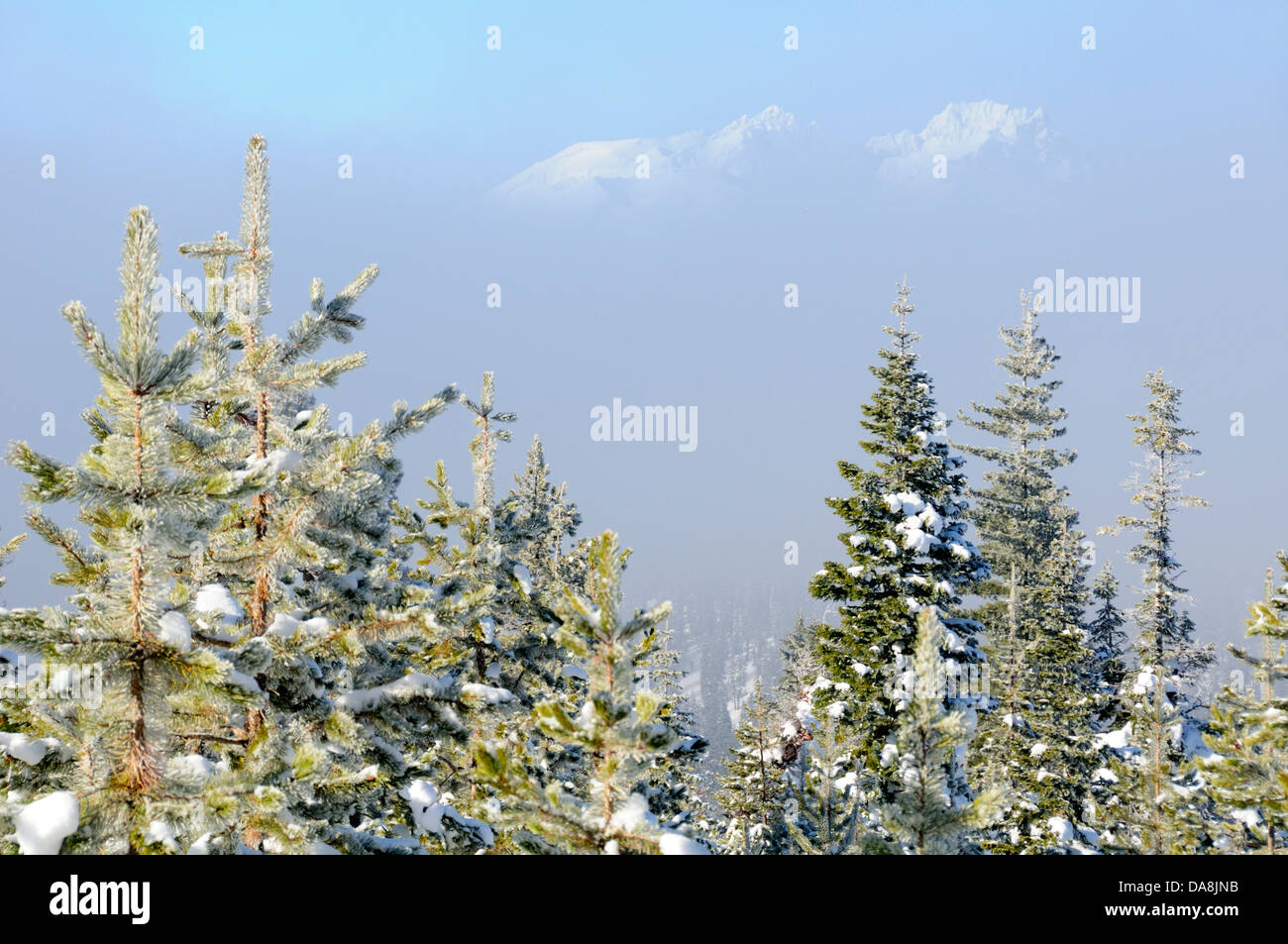 USA, United States, America, Oregon, Bend, North America, Deschutes, County, Cascades mountains, National Forest, winter, nature Stock Photo