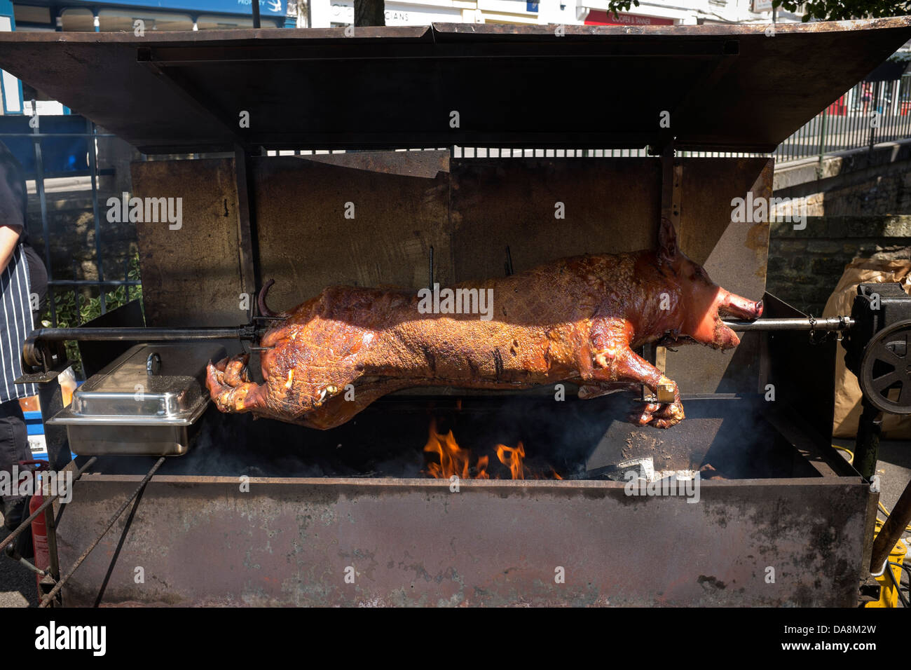 Roast Hog on Spit Stock Photo