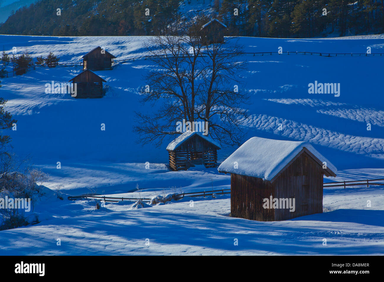 Austria, Europe, Tyrol, Gurgltal, Tarrenz, Imst, winter, snow, Stadel, Five Stadel, trees, blue, shade, fence, wooden huts, man- Stock Photo