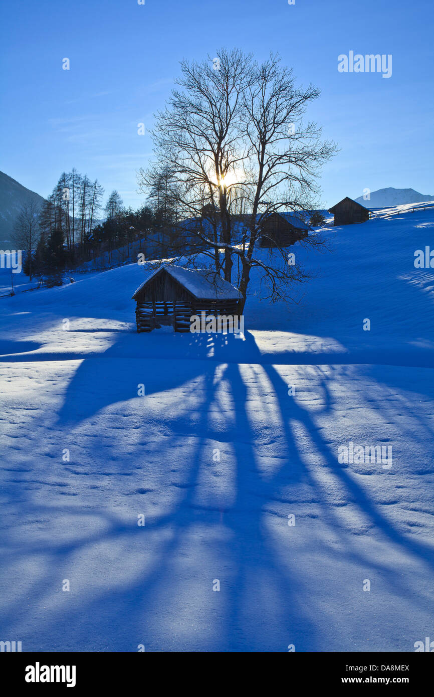 Austria, Europe, Tyrol, Gurgltal, Tarrenz, Imst, winter, snow, Stadel, Three Stadel, sun, tree, shade, high, sky, blue, travelin Stock Photo