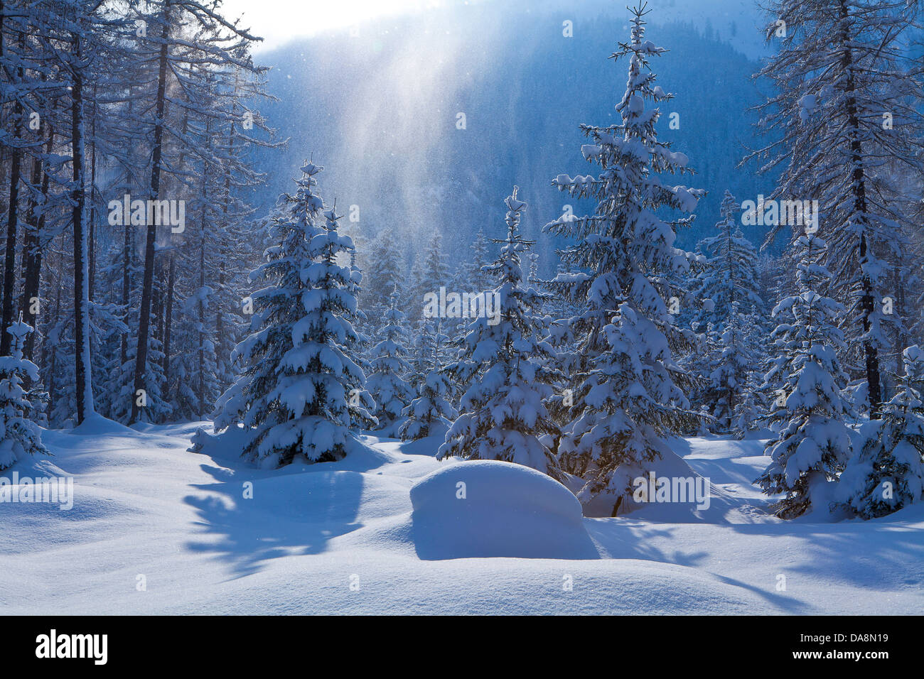 Austria, Europe, Tyrol, Obsteig, winter, wood, forest, snow, snowfall, snowflakes, winter wood, vacation, light, glitter, trees, Stock Photo