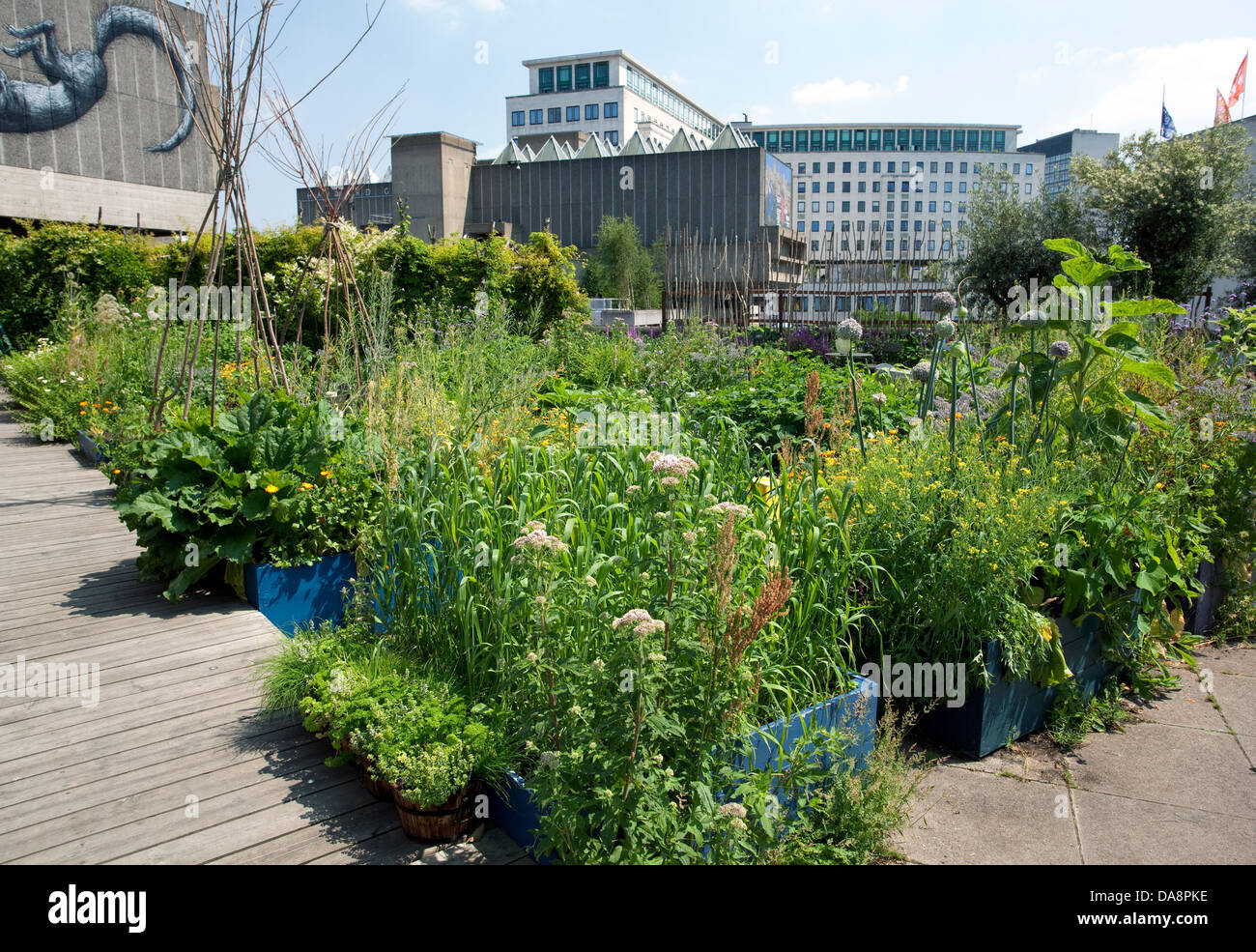 Queen Elizabeth Hall roof garden on South Bank, London Stock Photo