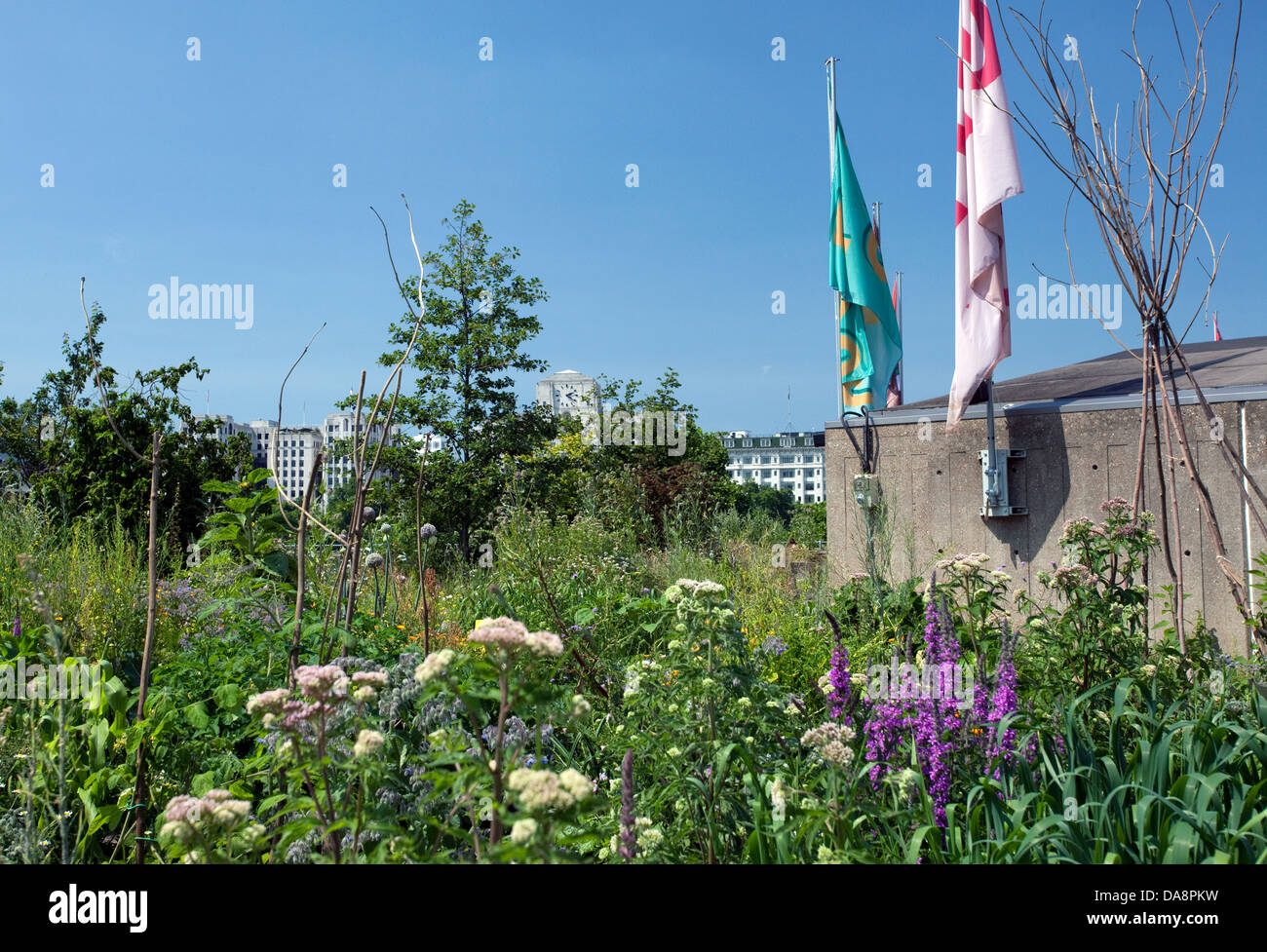 Queen Elizabeth Hall roof garden on South Bank, London Stock Photo