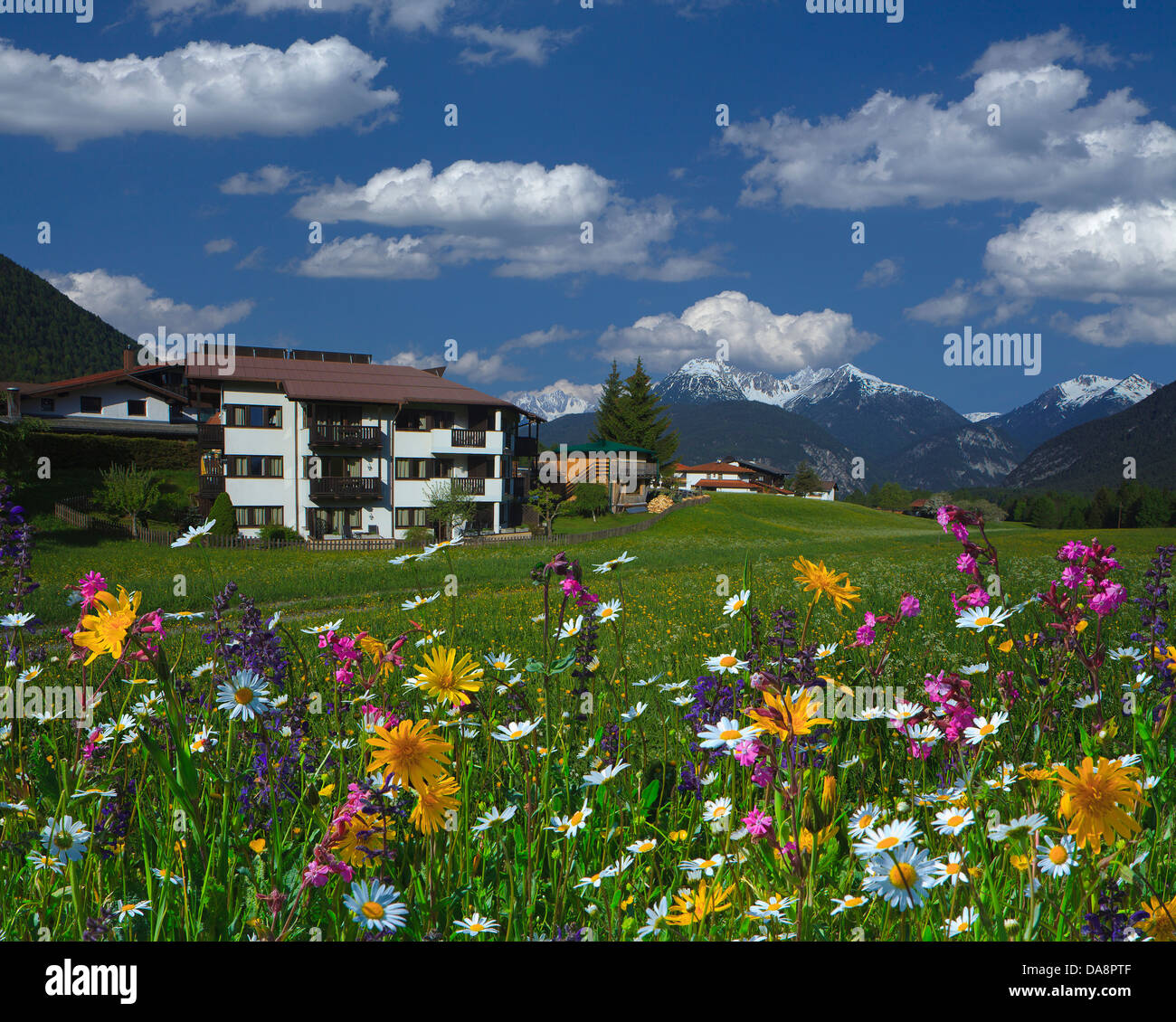 Austria, Europe, Tyrol, Mieminger plateau, Obsteig, Holzleiten, hotel, houses, homes, meadow, flowers, flower meadow, spring, sk Stock Photo
