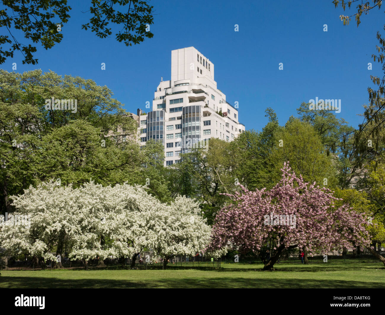 Springtime on  the East Green, Central Park, NYC Stock Photo