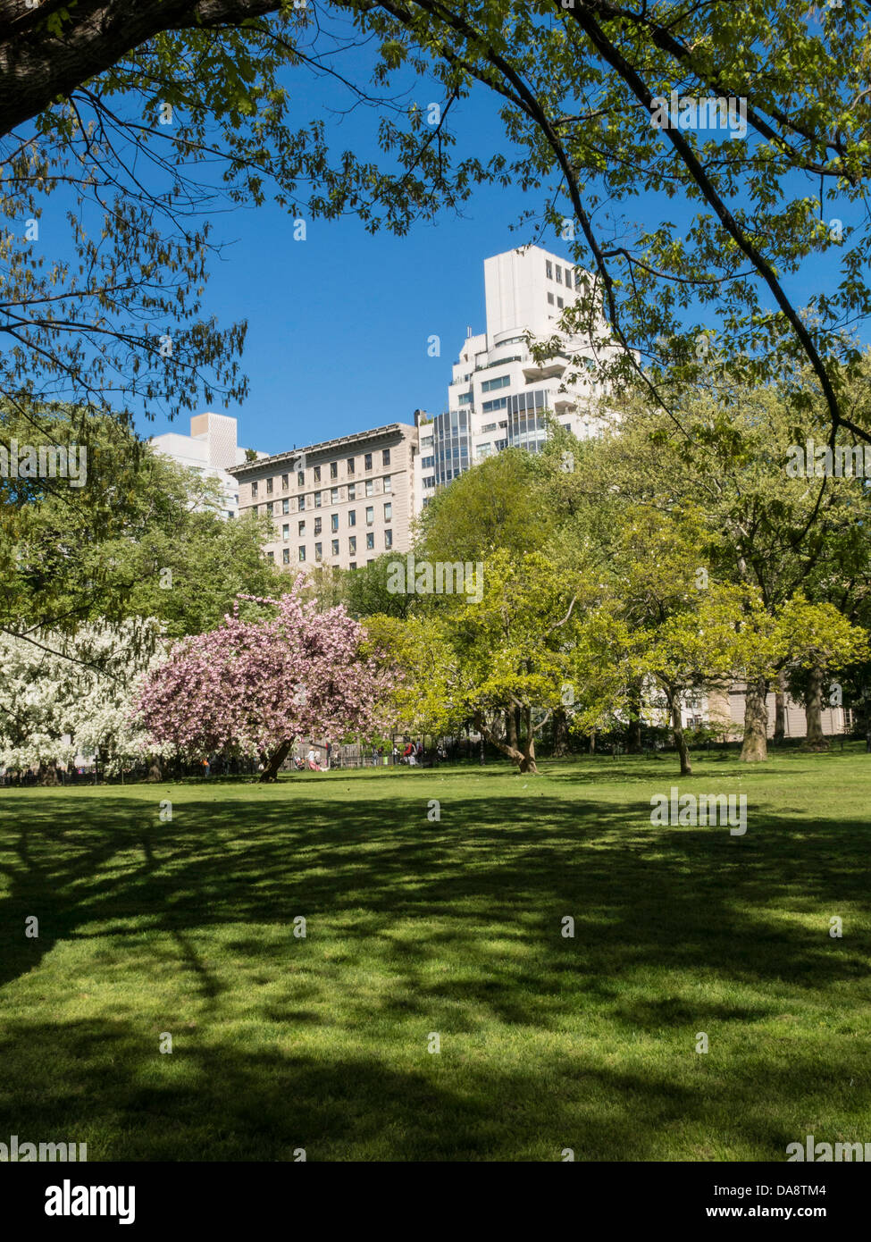 Springtime on  the East Green, Central Park, NYC Stock Photo