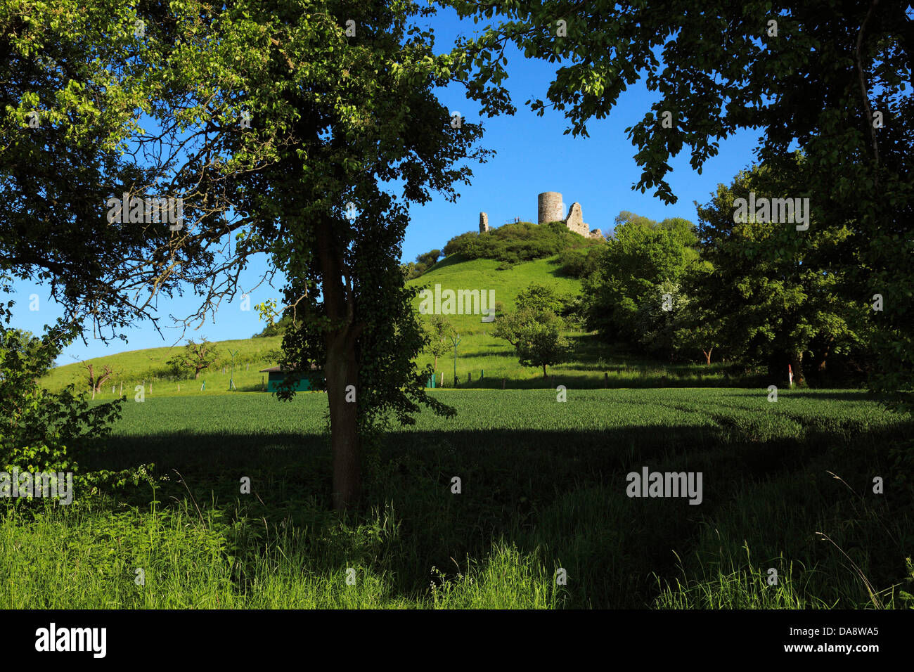 Desenberg Burgruine Desenberg auf dem Desenberg in Warburg-Daseburg, Ostwestfalen ...