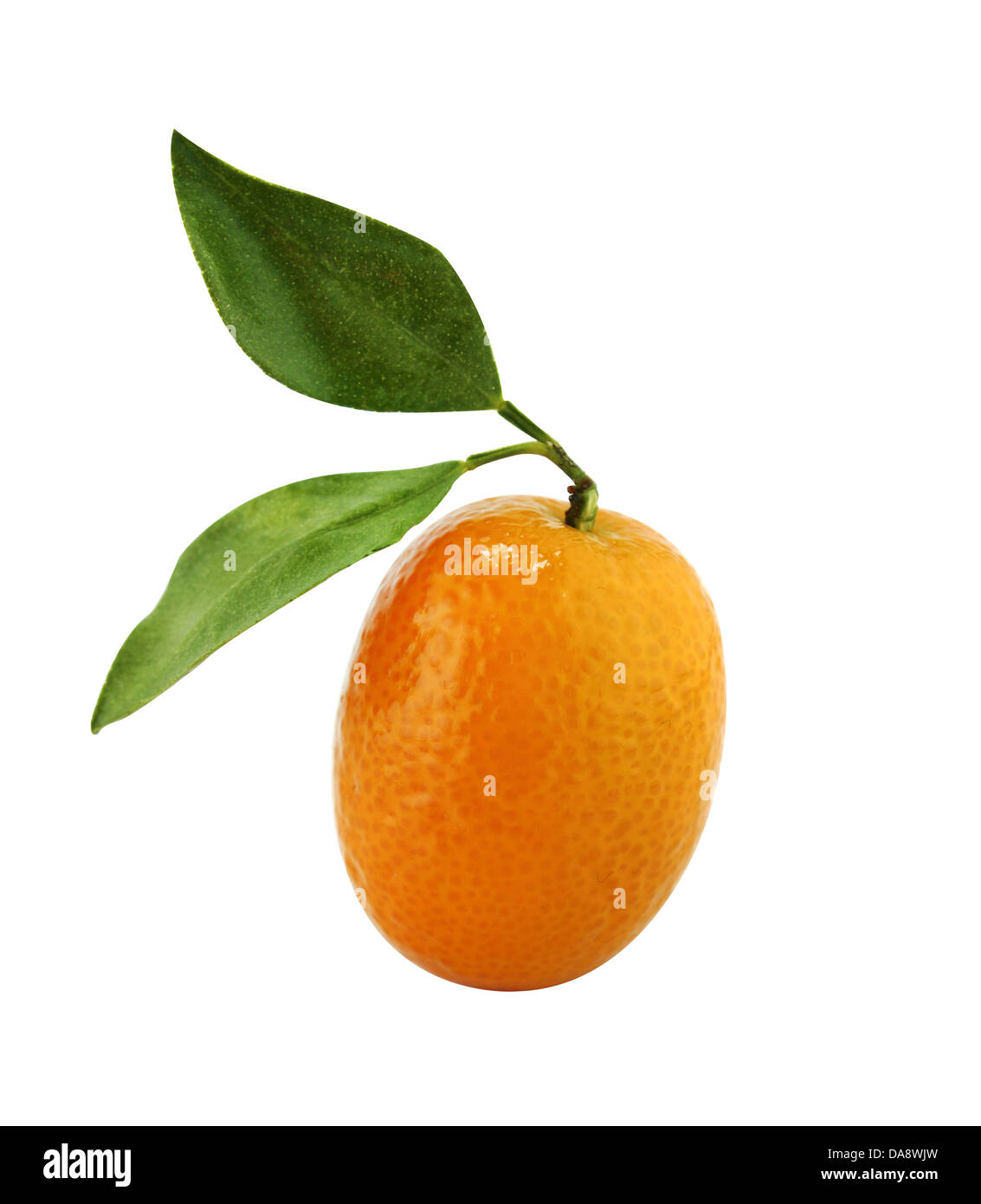 Sweet Small Orange Fruit with leaves. with a clipping path Stock Photo