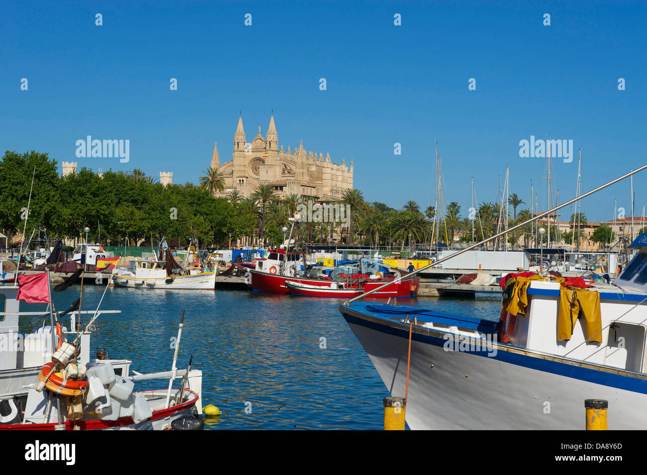 Balearic Islands, Majorca, Mallorca, Spain, Europe, outside, cathedral, cathedrals, cathedral, dome, church, churches, religion, Stock Photo