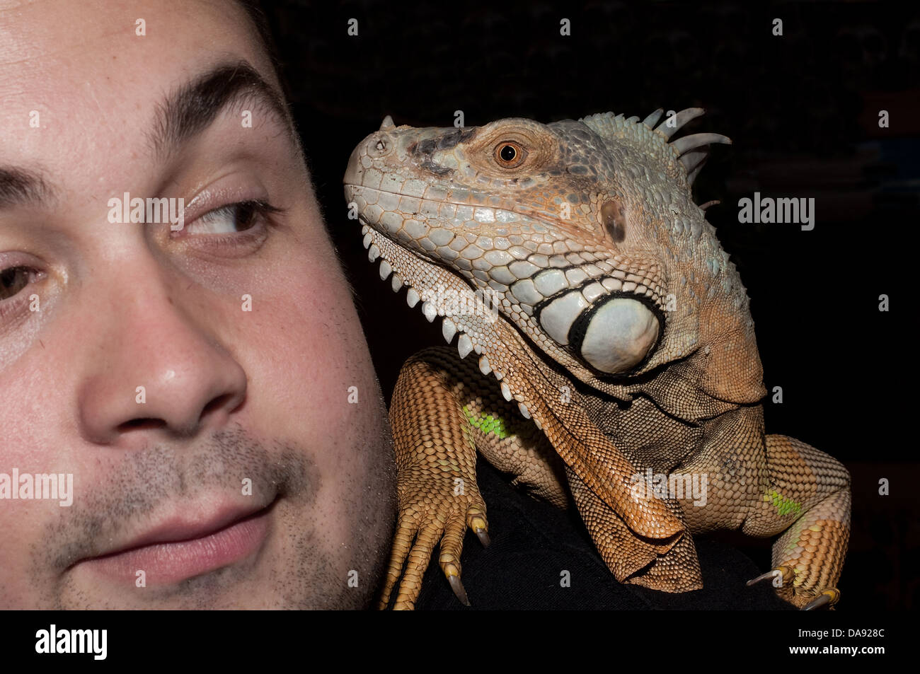 head shot of man with Iguana, looking at each other against black background Stock Photo