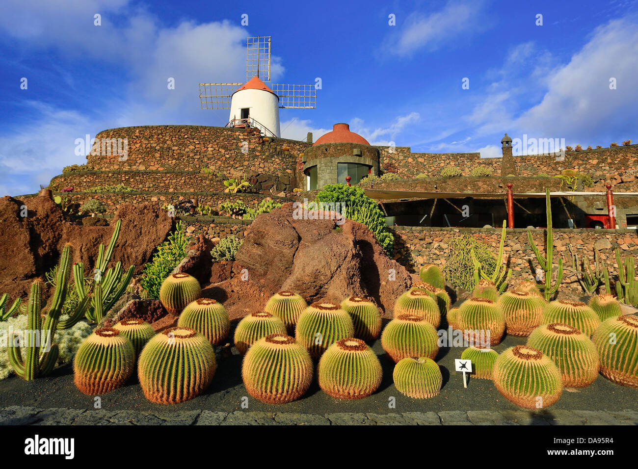 Spain, Europe, Canary Islands, Guatiza, Lanzarote, cactus, plants, garden, island, sunset, wind mill Stock Photo