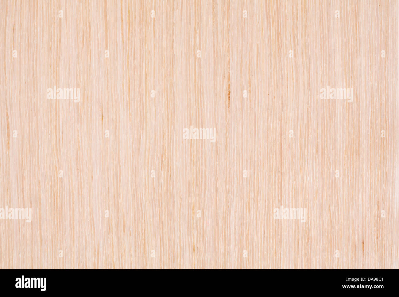 Bleached Oak Wood Natural Texture Stock Photos Bleached Oak Wood