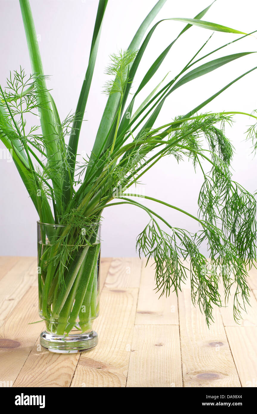 Fresh green onions, garlic and dill in a glass of water on a wooden table Stock Photo