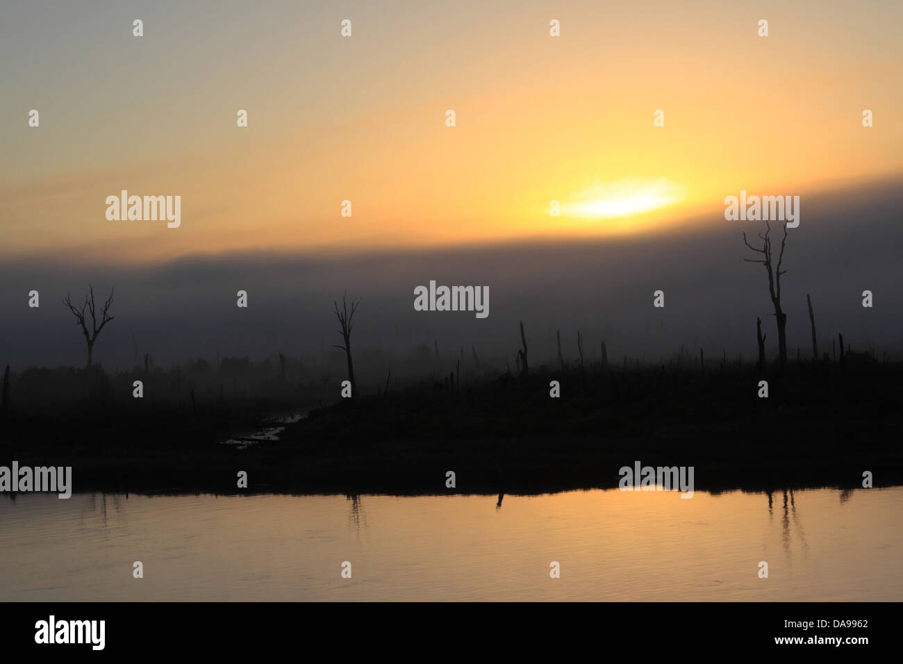 Chile, South America, chiloe, island, river, landscape, scenery, tree ...