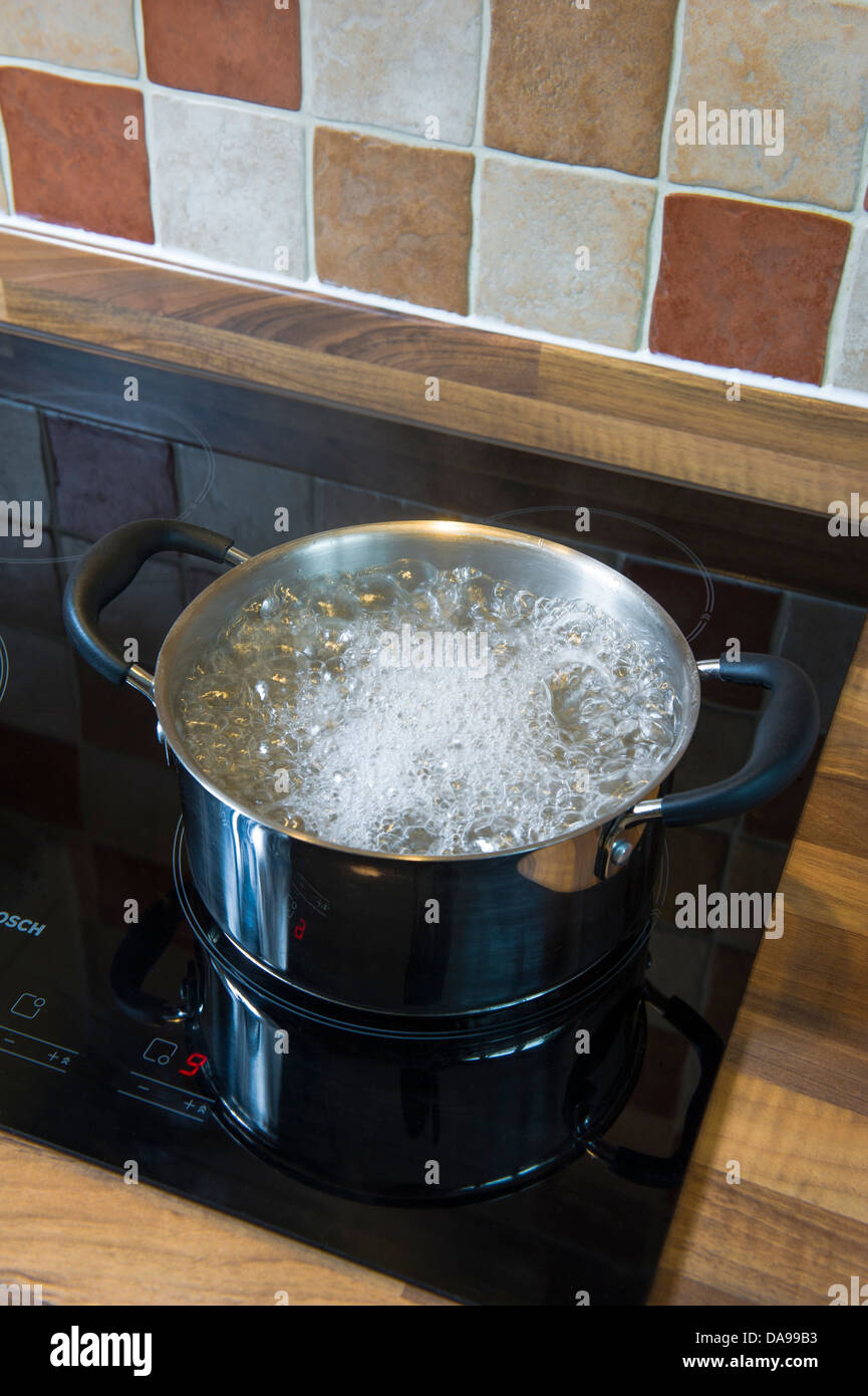 Two handled pot with boiling water. Sucepan steaming. Stock Photo
