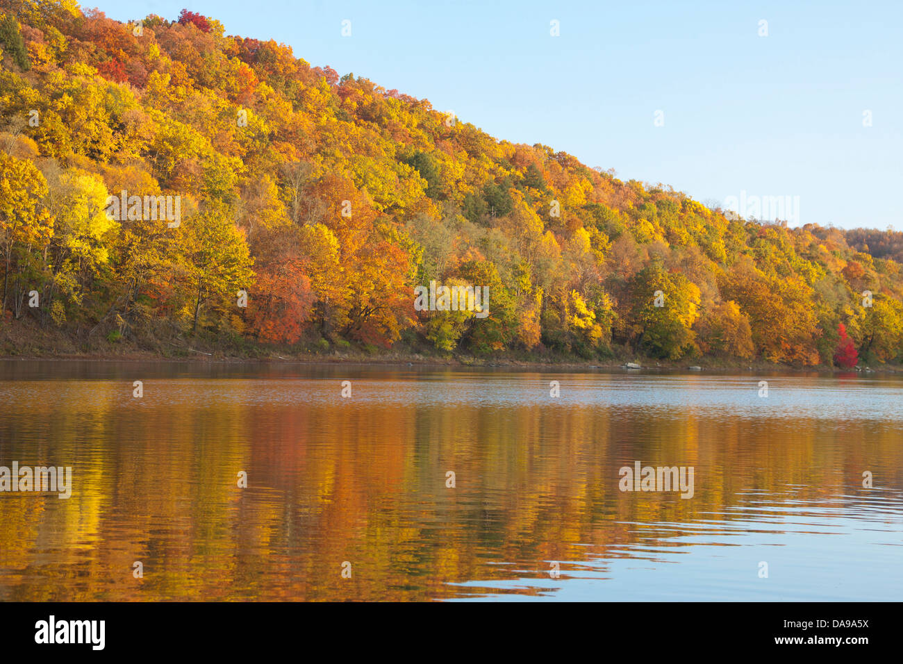 FALL FOLIAGE ALLEGHENY RIVER FOXBURG CLARION COUNTY PENNSYLVANIA USA