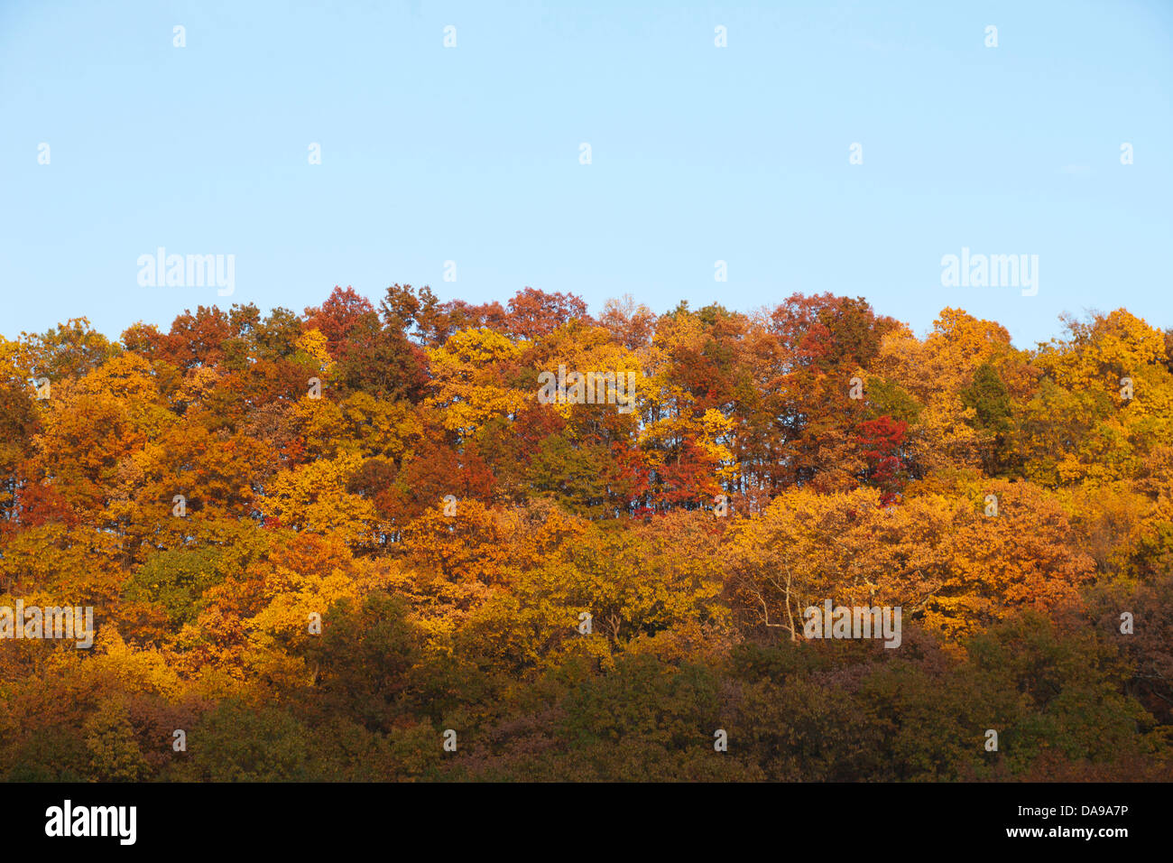FALL FOLIAGE FOXBURG CLARION COUNTY PENNSYLVANIA USA Stock Photo Alamy
