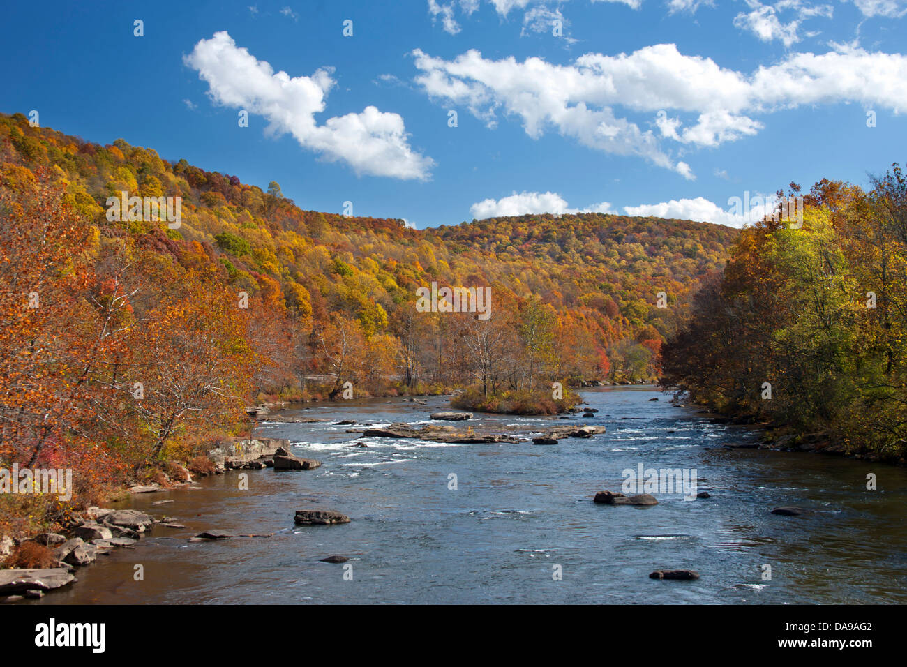 FALL FOLIAGE YOUGHIGHENY RIVER OHIOPYLE STATE PARK FAYETTE COUNTY 