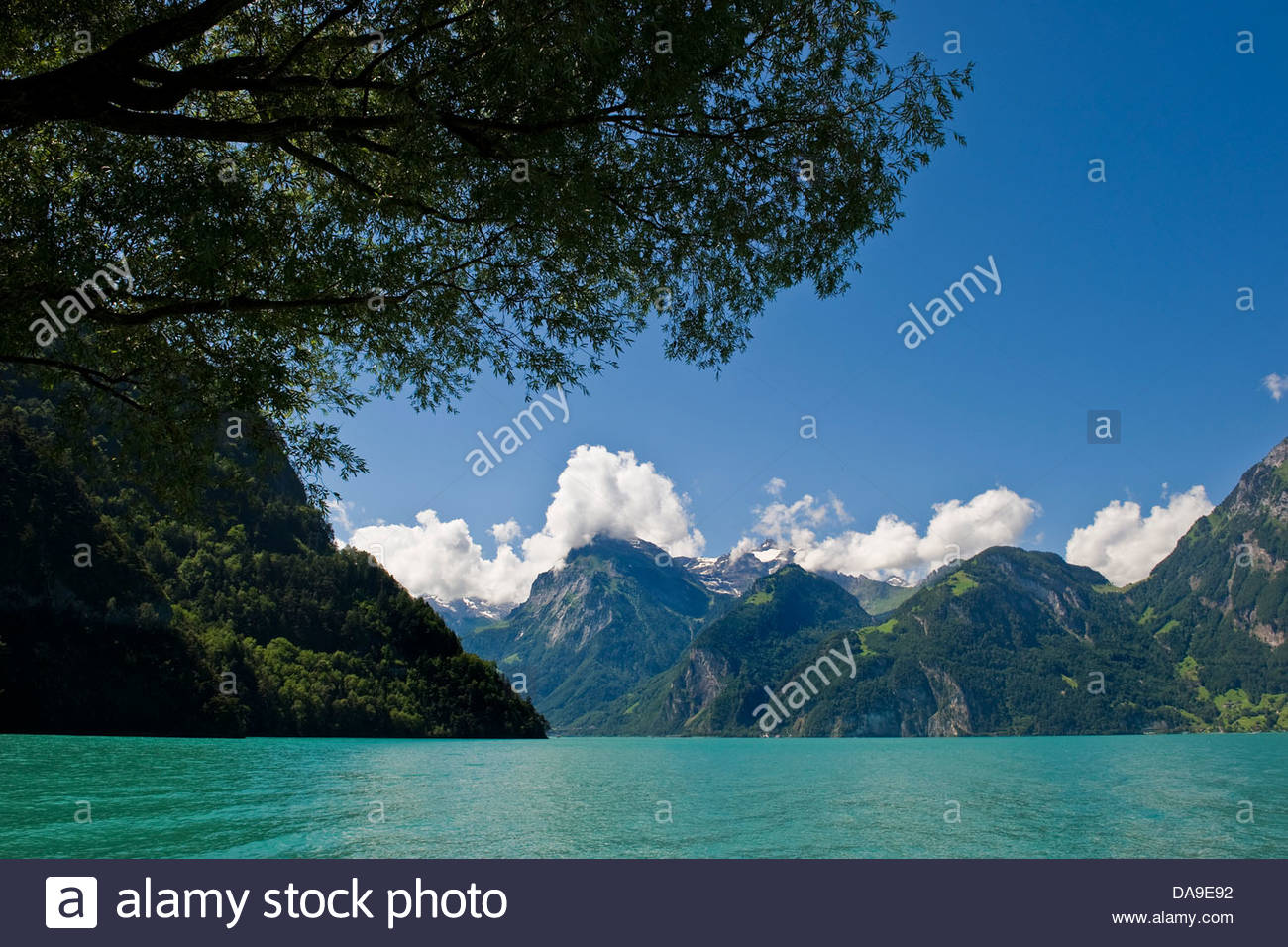 Brunen Lake Rocks Lake Lucerne Switzerland Brunnen High Resolution Stock Photography and ...
