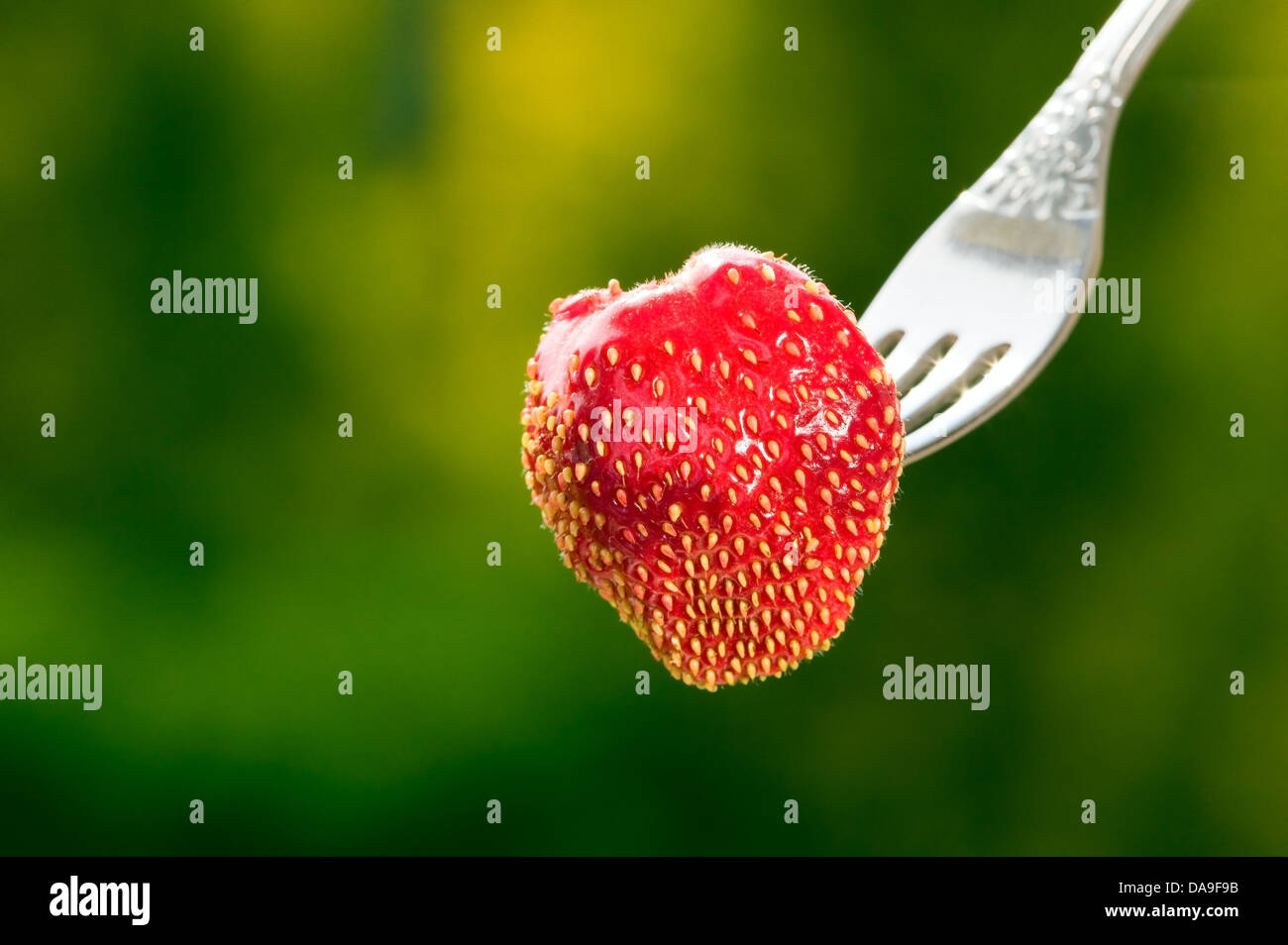 Red strawberry on green nature background, food concept Stock Photo