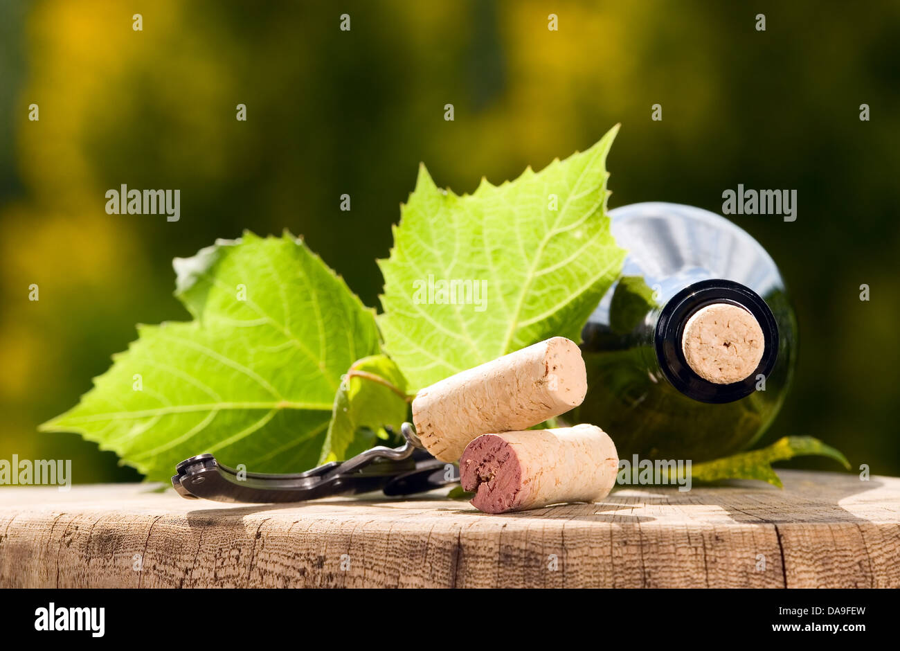 Wine bottle with wooden cork and big leaves around Stock Photo