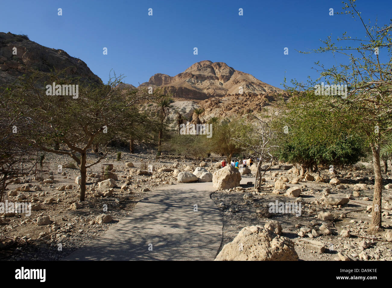 A Gedi, Israel, Middle East, Near East, oasis, nature, mountain Stock Photo  - Alamy