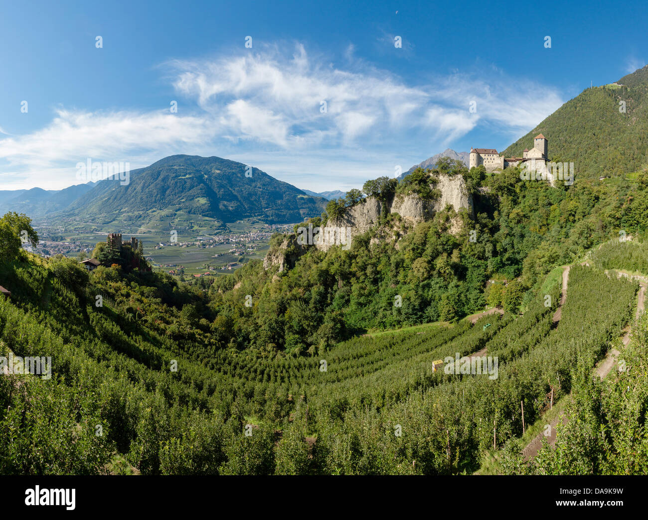 Italy, Europe, Südtirol, South Tyrol, Upper Adige, Alto Adige, village, Tirol, Tirolo, Brunnenburg, castle, castle, forest, wood Stock Photo
