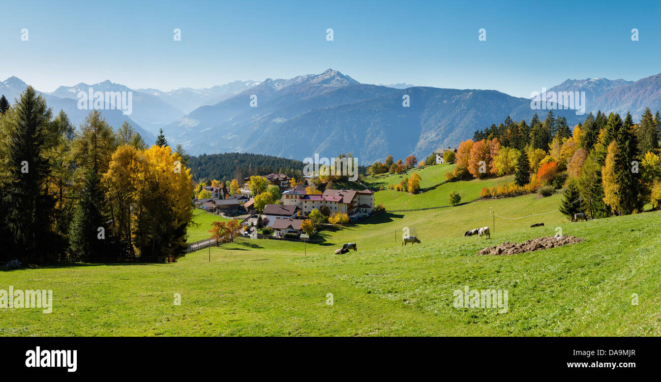Italy, Europe, Südtirol, South Tyrol, Upper Adige, Alto Adige, Hafling, Avelengo, View, city, village, field, meadow, trees, aut Stock Photo