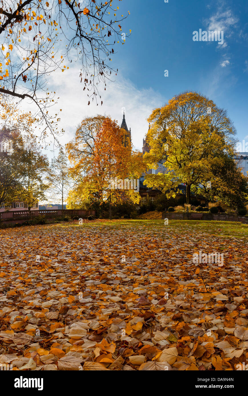 Germany, Europe, Rheinland Pfalz, Worms, cathedral, church, monastery, forest, wood, trees, autumn, autumn leafs, Stock Photo