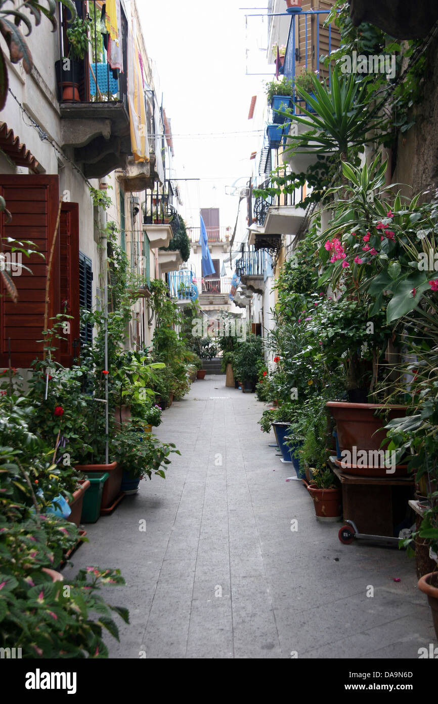 Italy, Europe, Lipari Islands, Lipari, Old Town, lane, houses, homes, plants, picturesquely Stock Photo