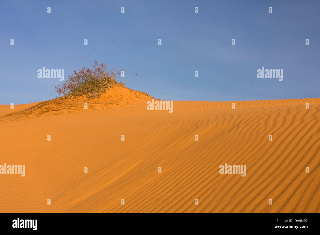 Asia, outside, dunes, scenery, Mui, Mui Ne, nature, Ne, nobody, red ...