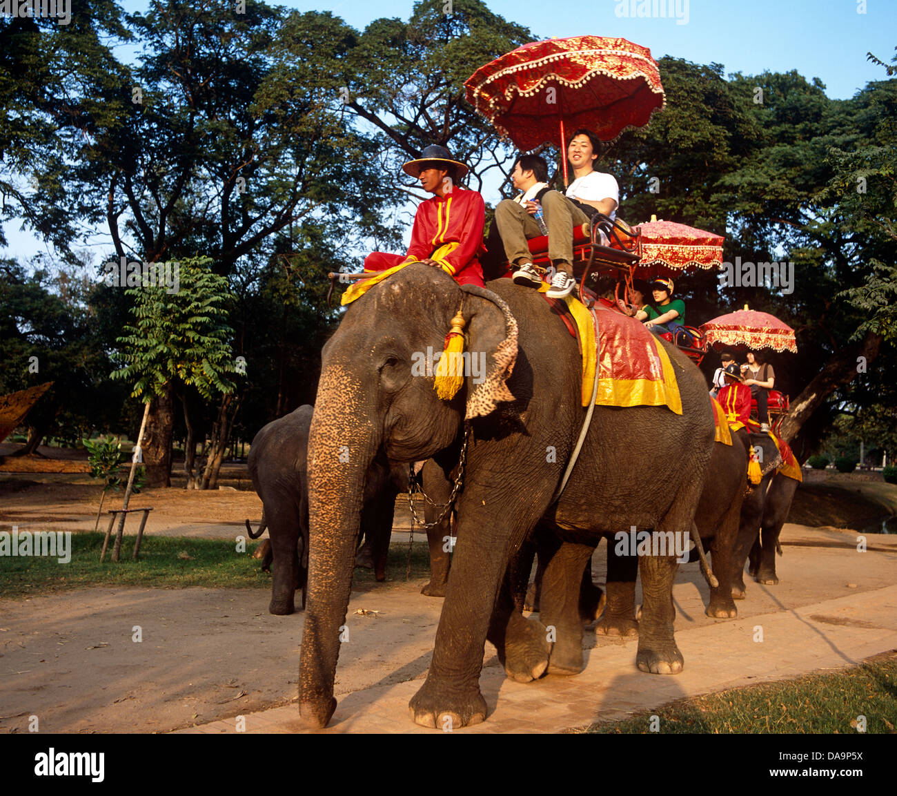 Tourists Riding Elephants Thailand Stock Photo