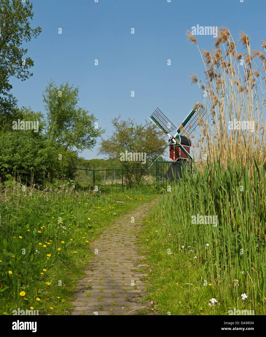 Netherlands, Holland, Europe, Leiden, Windmill, windmill, spring, path Stock Photo