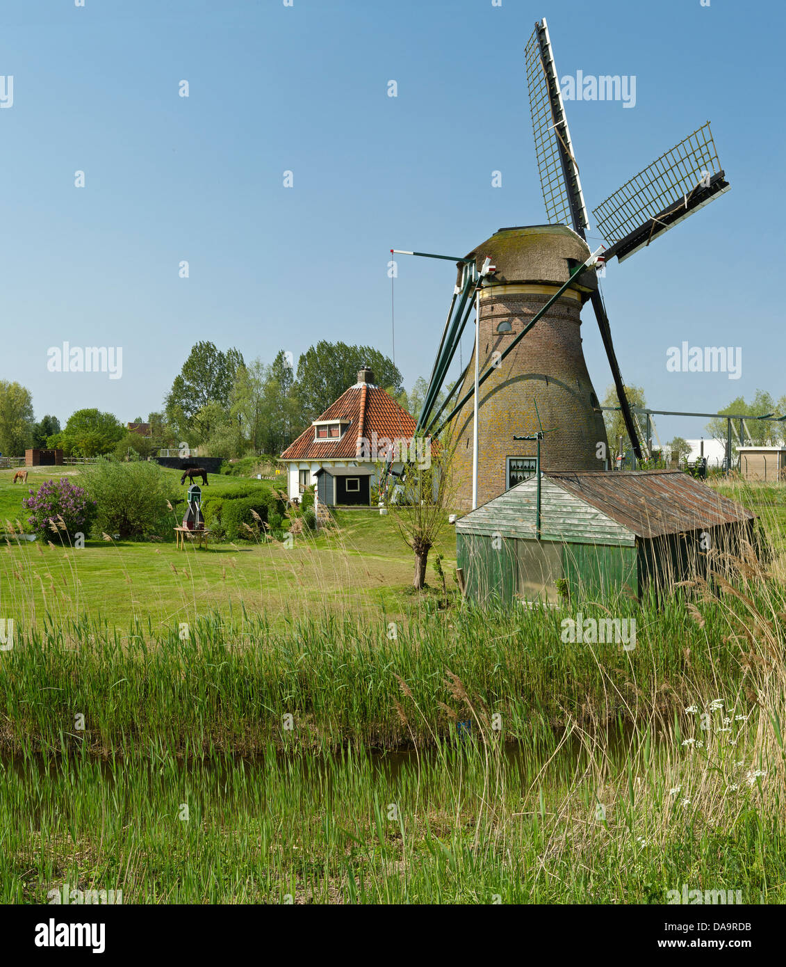 Netherlands, Holland, Europe, Leiden, Windmill, windmill, field, meadow, spring, Stock Photo