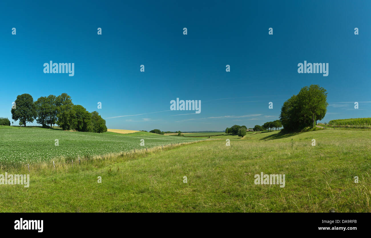 Netherlands, Holland, Europe, Termoors, Klimmen, Hilly, Hill, countryside, landscape, field, meadow, trees, summer, hills, Stock Photo