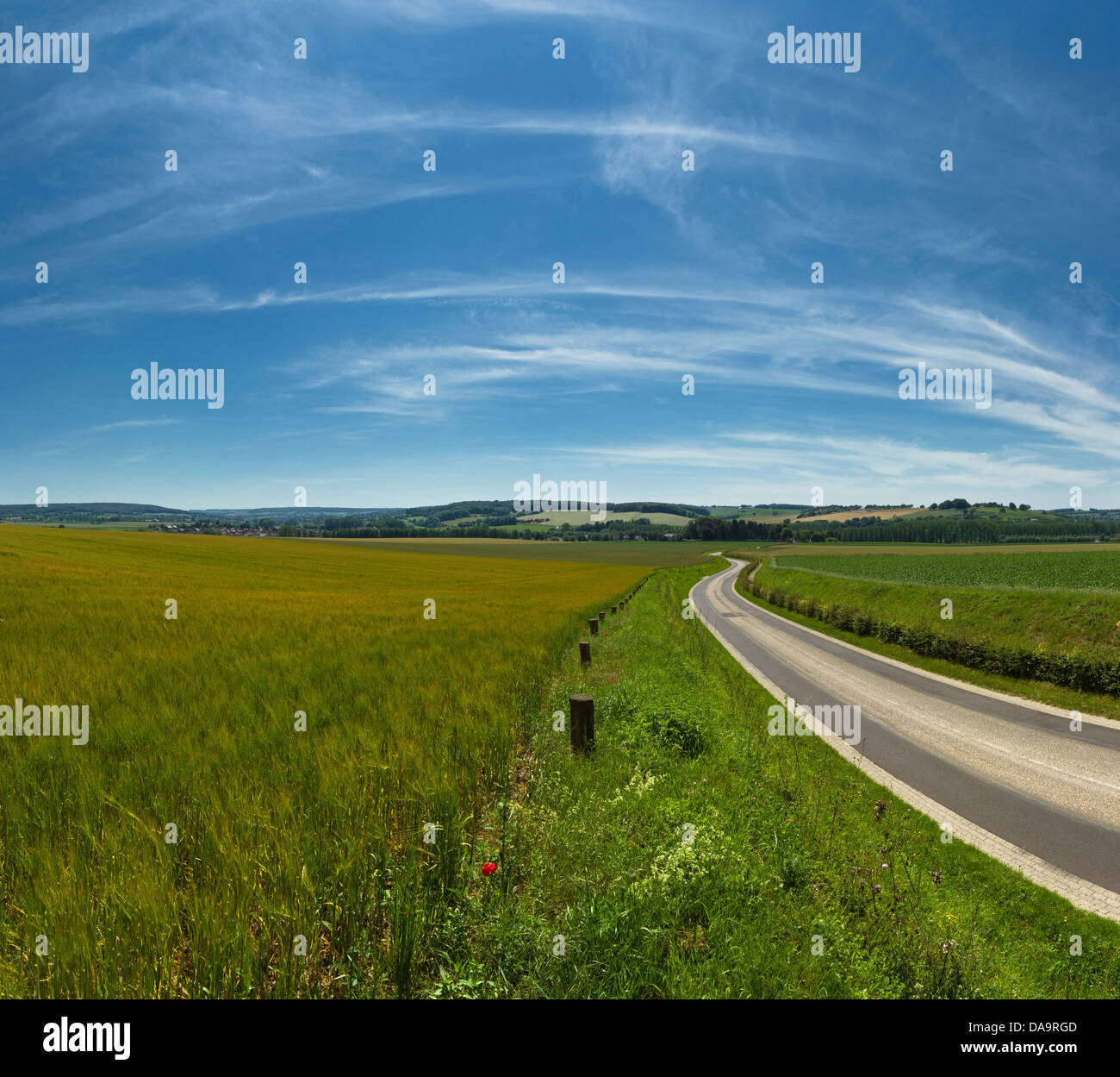 Netherlands, Holland, Europe, Gulpen, Hilly, Hill, country, landscape, field, meadow, summer, road, hills, Stock Photo
