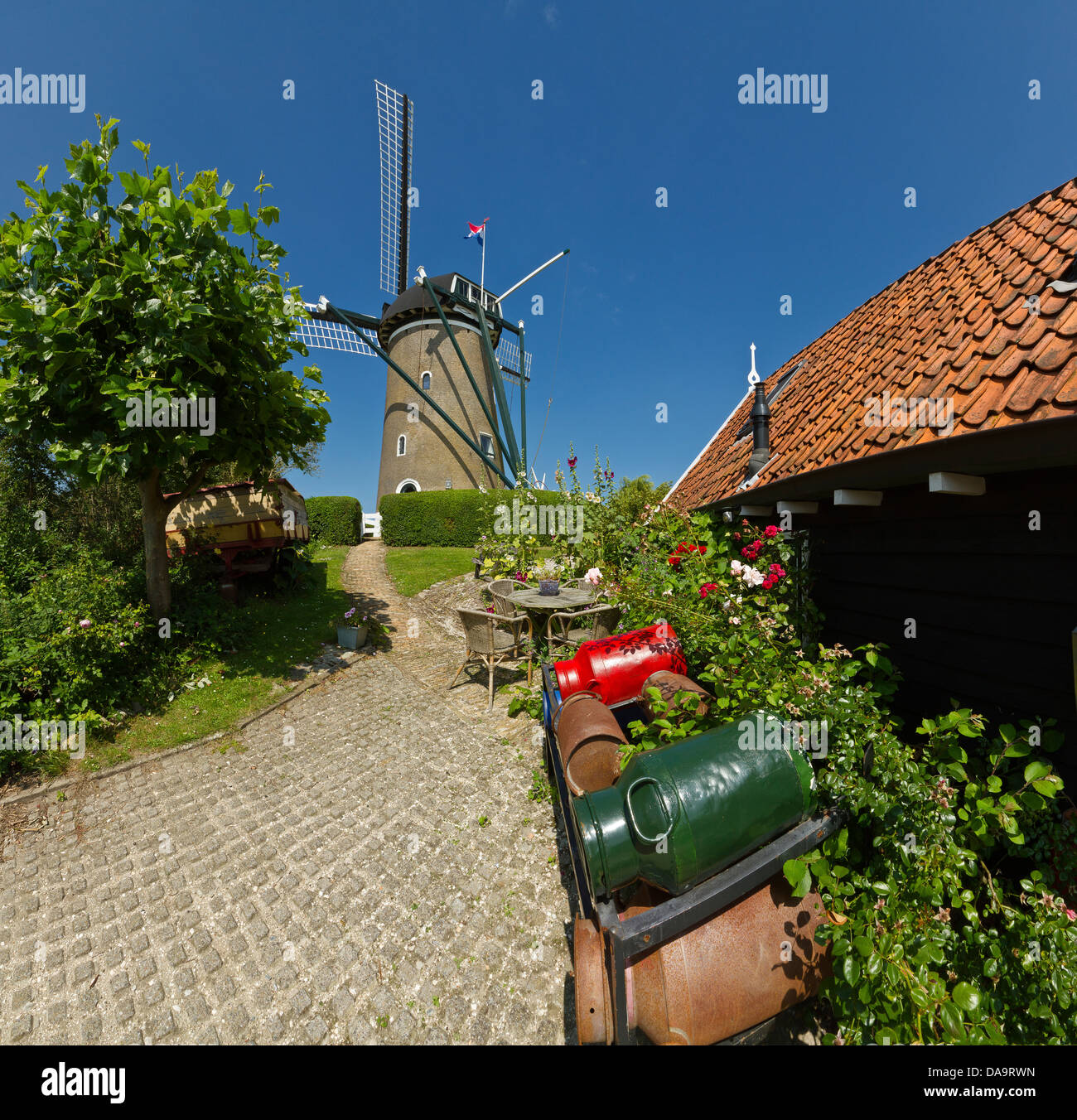 Netherlands, Holland, Europe, Brouwershaven, Windmill, De Haan, flowers, summer, garden, Stock Photo