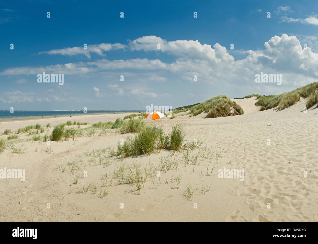 Netherlands, Holland, Europe, Renesse, North sea, sand, landscape, summer, beach, Stock Photo