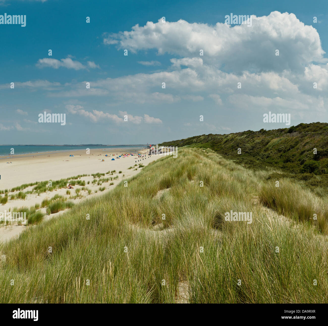 Netherlands, Holland, Europe, Renesse, Northsea beach, landscape, summer, beach, sea, Stock Photo