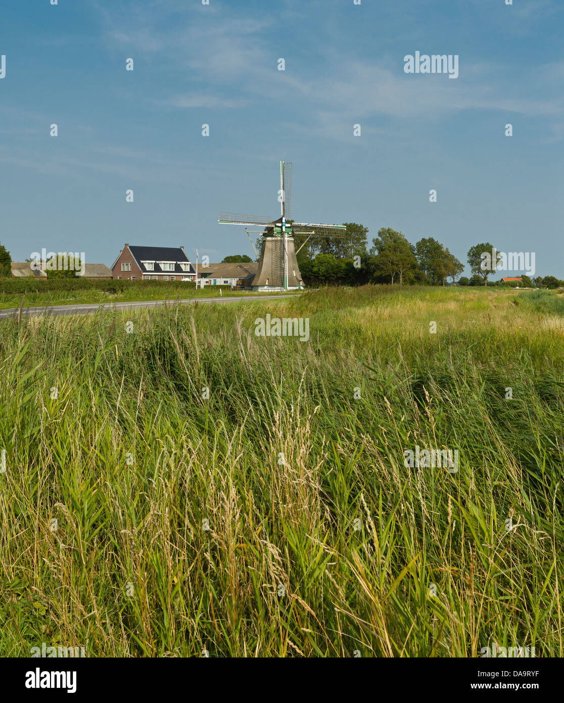 Netherlands, Holland, Europe, Moriaanshoofd, Windmill, De Zwaan, field, meadow, summer, Stock Photo