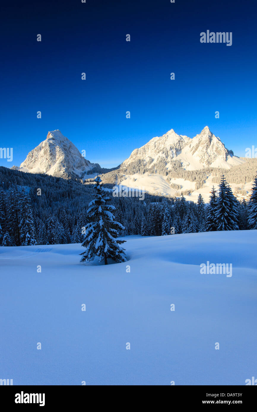 Alps, Alpine, panorama, view, mountain, mountains, massif, Brunni, trees, spruce, spruces, summits, peaks, big, Mythen, Central Stock Photo