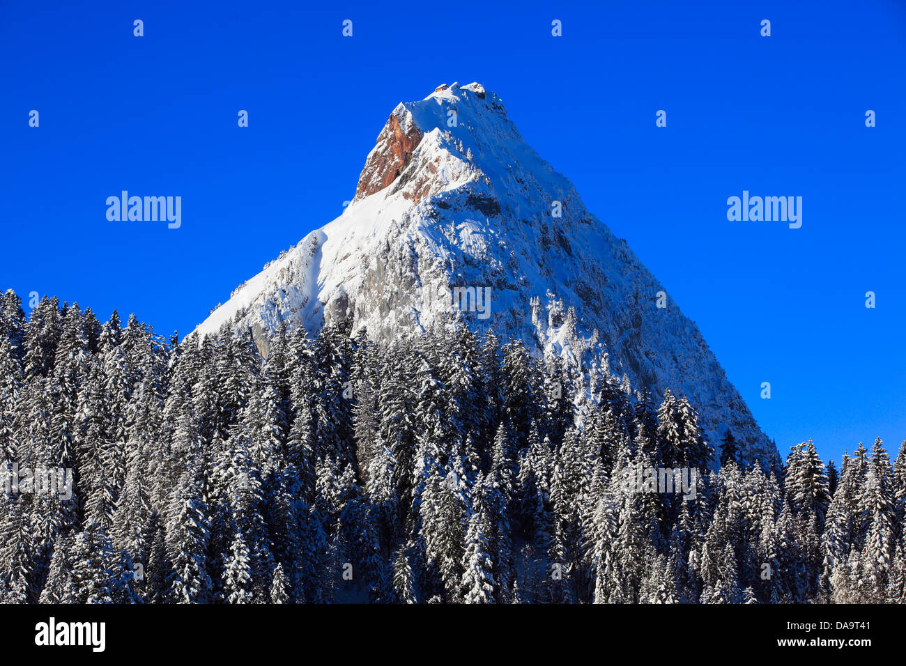 Alps, Alpine, panorama, view, mountain, mountains, massif, trees, spruce, spruces, mountains, summits, peaks, big, Mythen, Centr Stock Photo