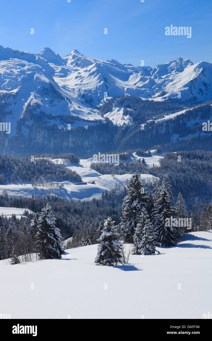 Alps, Alpine wreath, Alpine, panorama, view, mountain, mountains, trees, spruce, spruces, mountains, summits, peaks, Central Swi Stock Photo