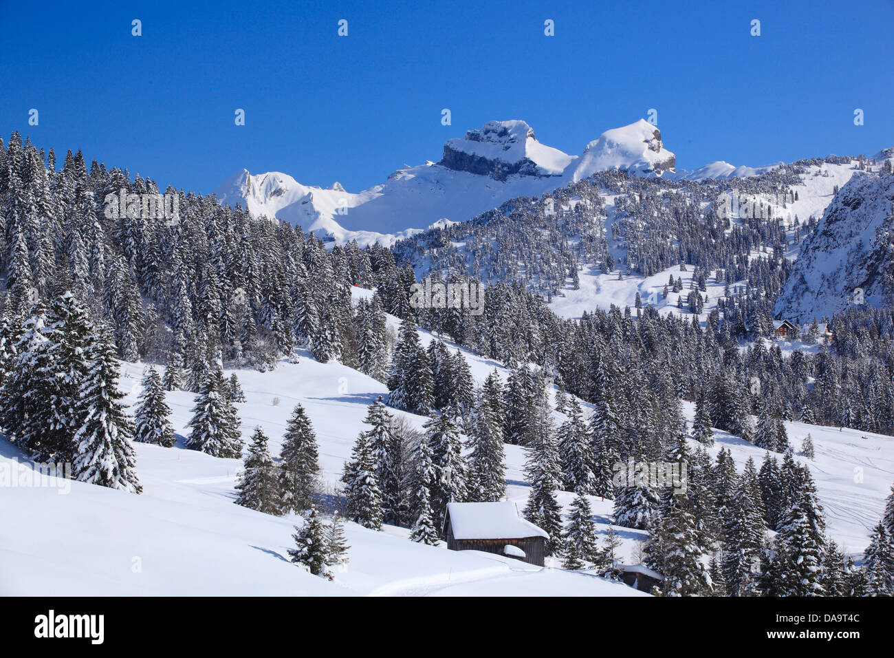 Alps, Alpine wreath, Alpine, panorama, view, mountain, mountains, trees, spruce, spruces, mountains, summits, peaks, Central Swi Stock Photo