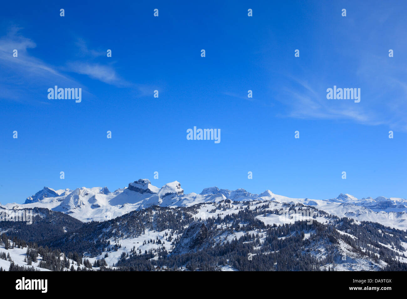 Alps, Alpine wreath, Alpine, panorama, view, mountain, mountains, trees, spruce, spruces, mountains, summits, peaks, Central Swi Stock Photo