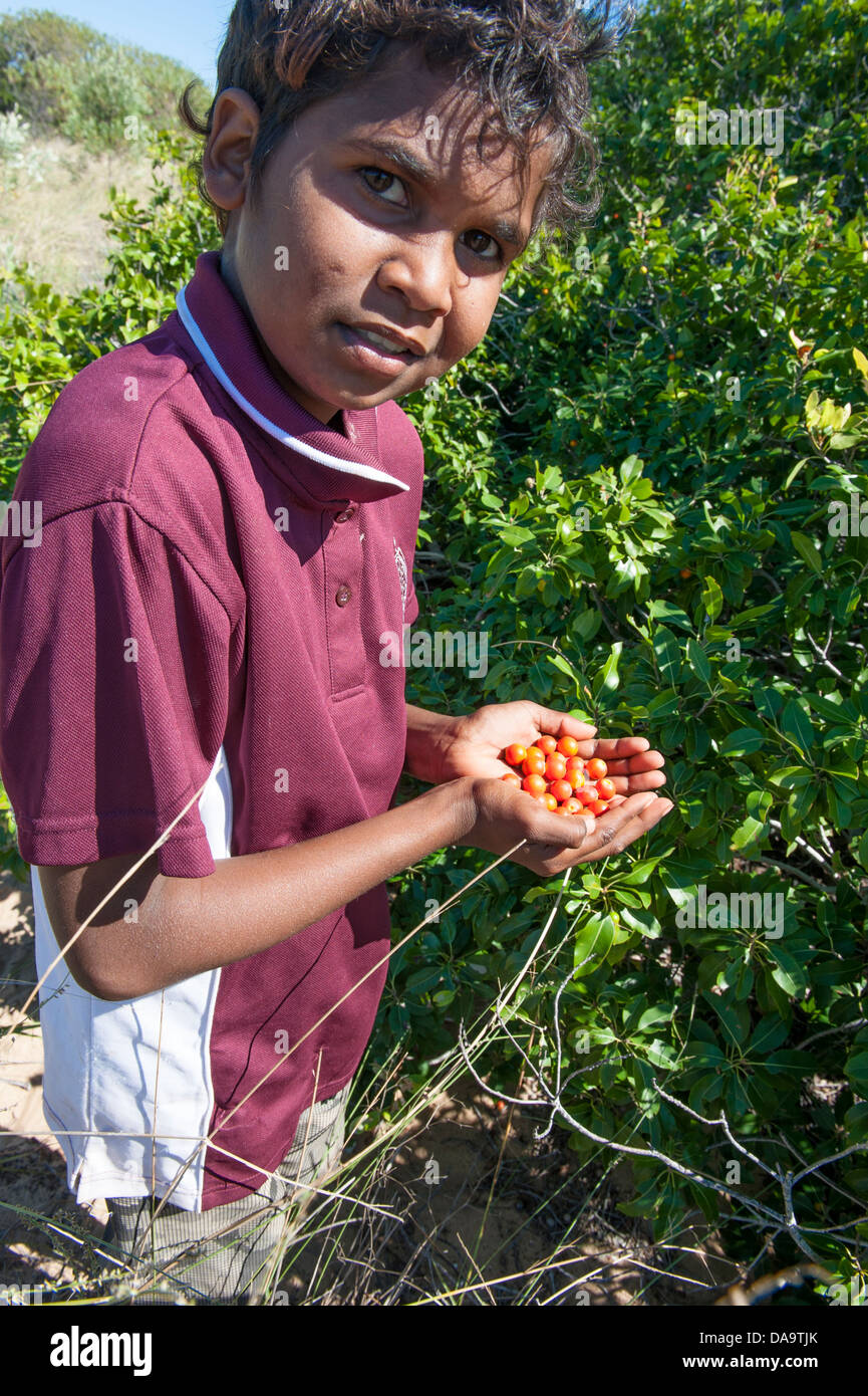 A young indigenous boy holds berries he harvested in the coastal bushland of Cape Leveque Stock Photo