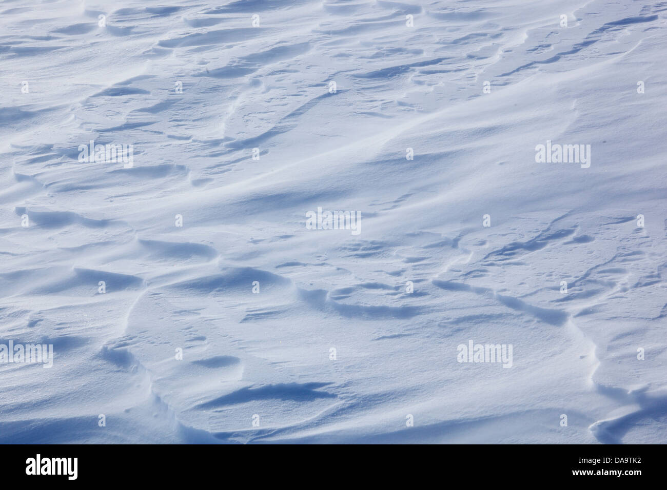 Detail, ice, ice-crystal, crystal, cold, lines, macro, pattern ...