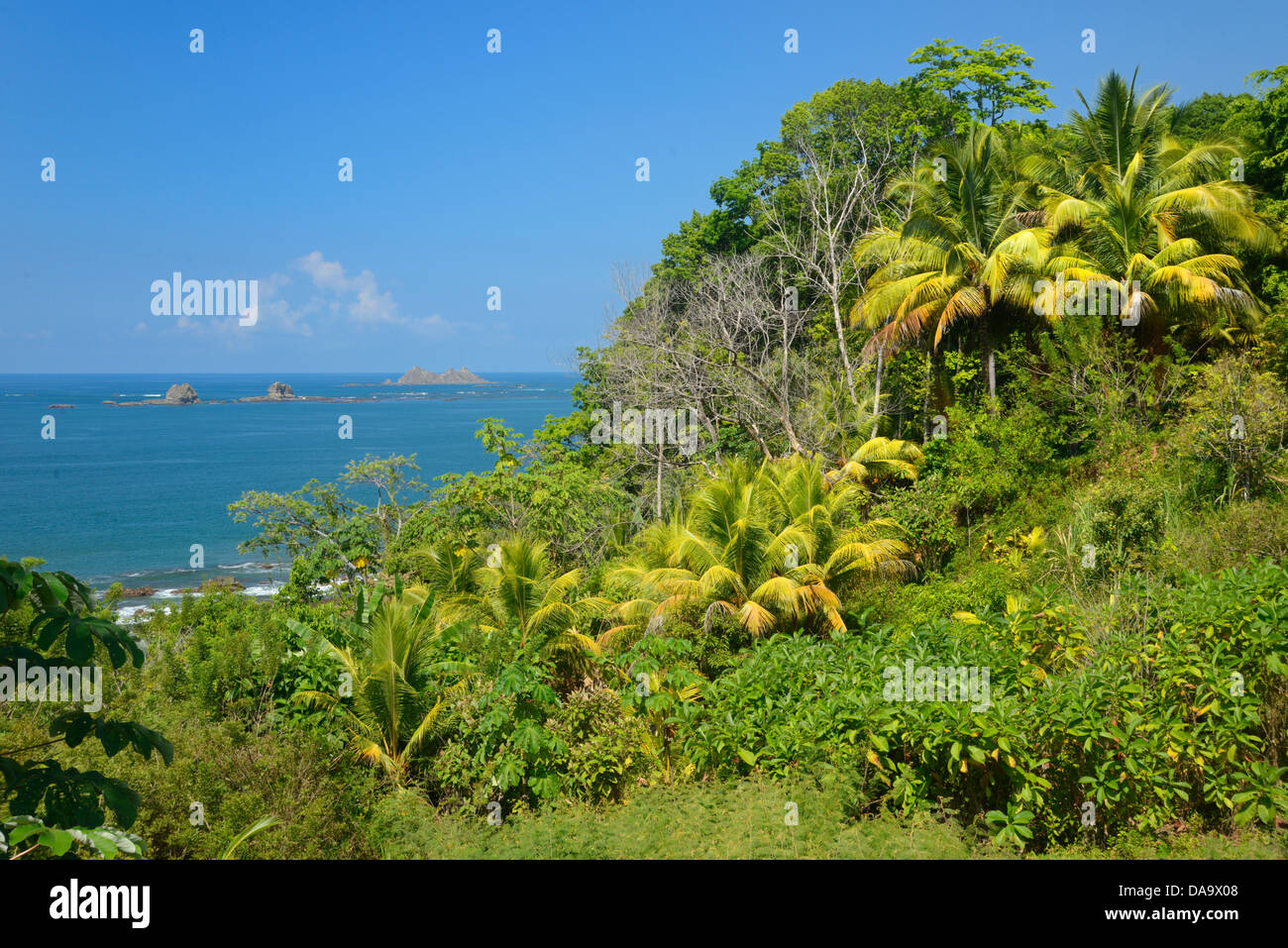 Central America, Costa Rica, Puntarenas, coast, pacific, tropical, landscape, nature, Puntarenas, Stock Photo