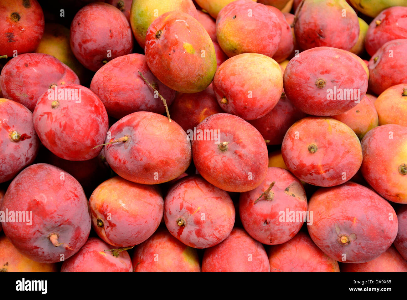 Central America, Costa Rica, Cartago, market, fruit, mango, Cartago Stock  Photo - Alamy